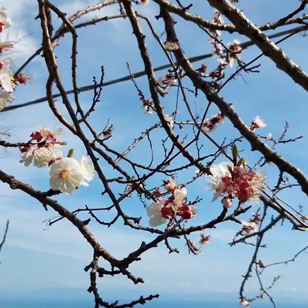 Ancient Medieval Chapel Willa Amalfi