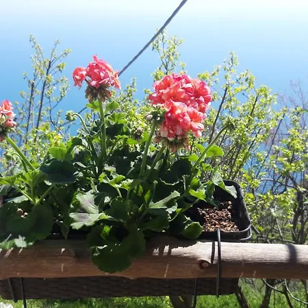 Ancient Medieval Chapel 别墅