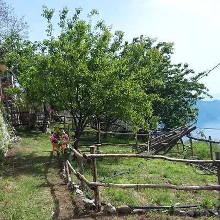 Ancient Medieval Chapel Willa *