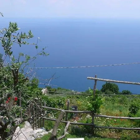 Willa Ancient Medieval Chapel