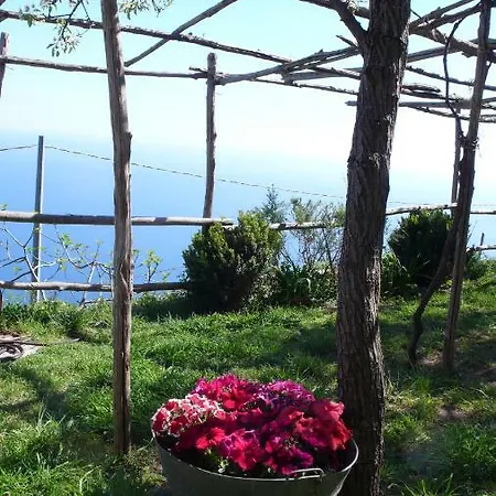 Willa Ancient Medieval Chapel *