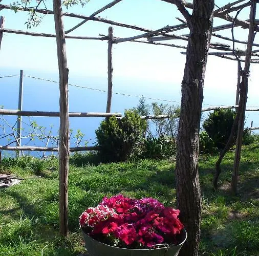 别墅 Ancient Medieval Chapel *